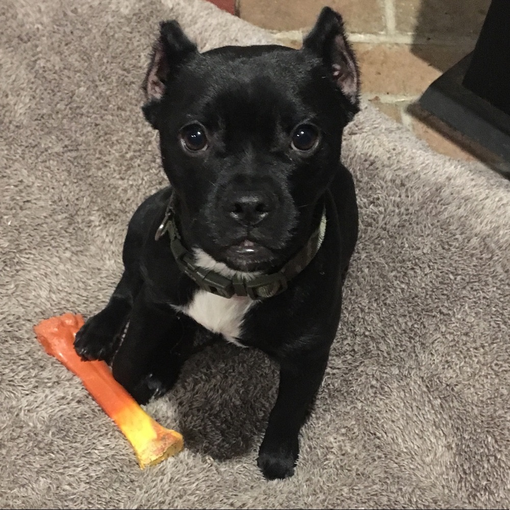 Meet your Posher, Noelle